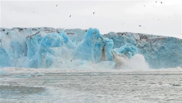 h08oni8xsgg7yz3rxdqkx5w1z dsc17750201 d