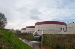 h0bbsozpinb4i50gjhckorok7 139086