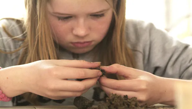 h6dqitzec1gumh5oi7gurkxy0 natuurmonumenten braakballen pluizen2marc beenen