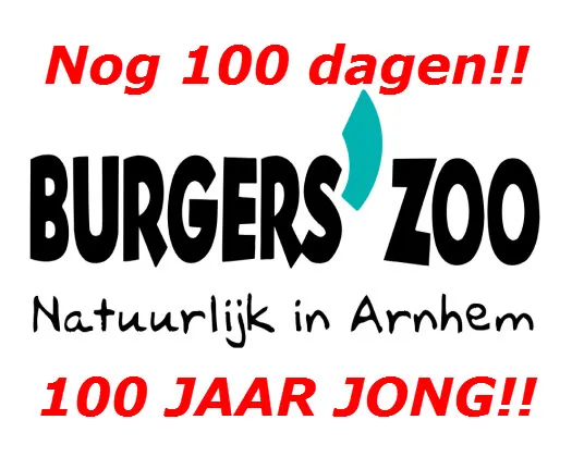 h8atnjpdxbi84aylaiy7z8axv 196689