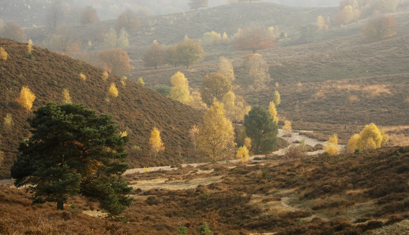 herfst natuurmonumenten