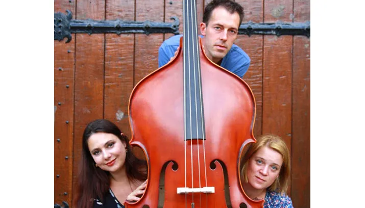 het gelders ensemble