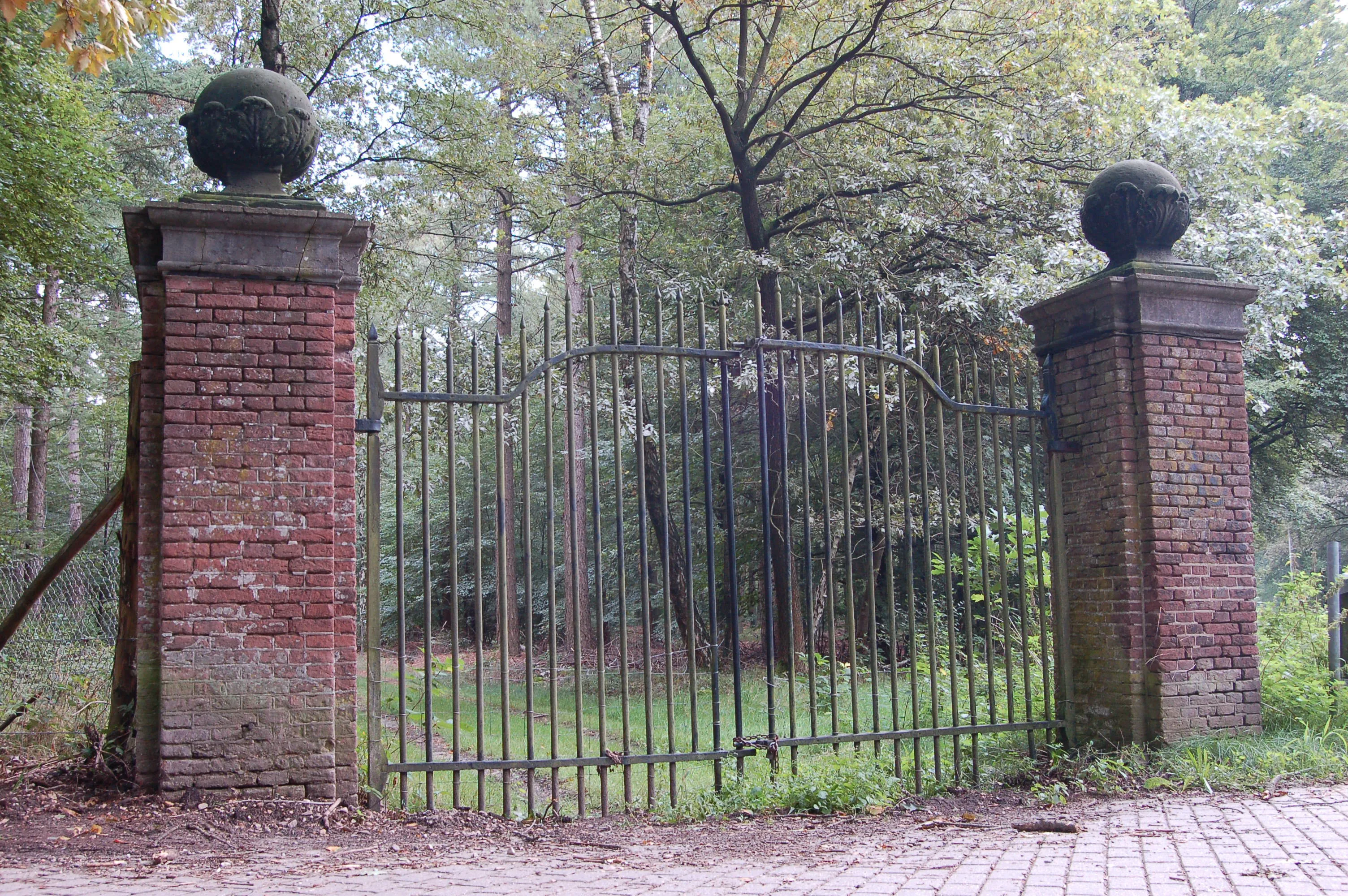 het rozendaalse bos karin otermann