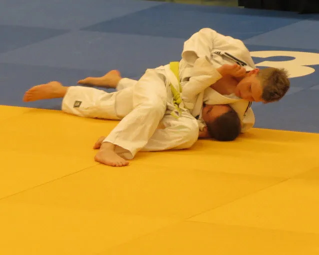 hix63fjv2zt0m0n0twdzn5zcx 228962