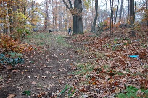 hnjdnqmd4u7mqg44z5bznw02j 96396