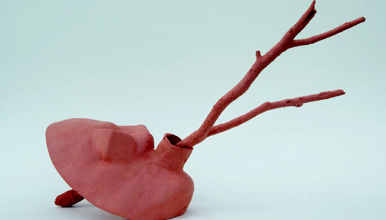 hwy4wctegvzj7cf5tqx6rzyzc afb