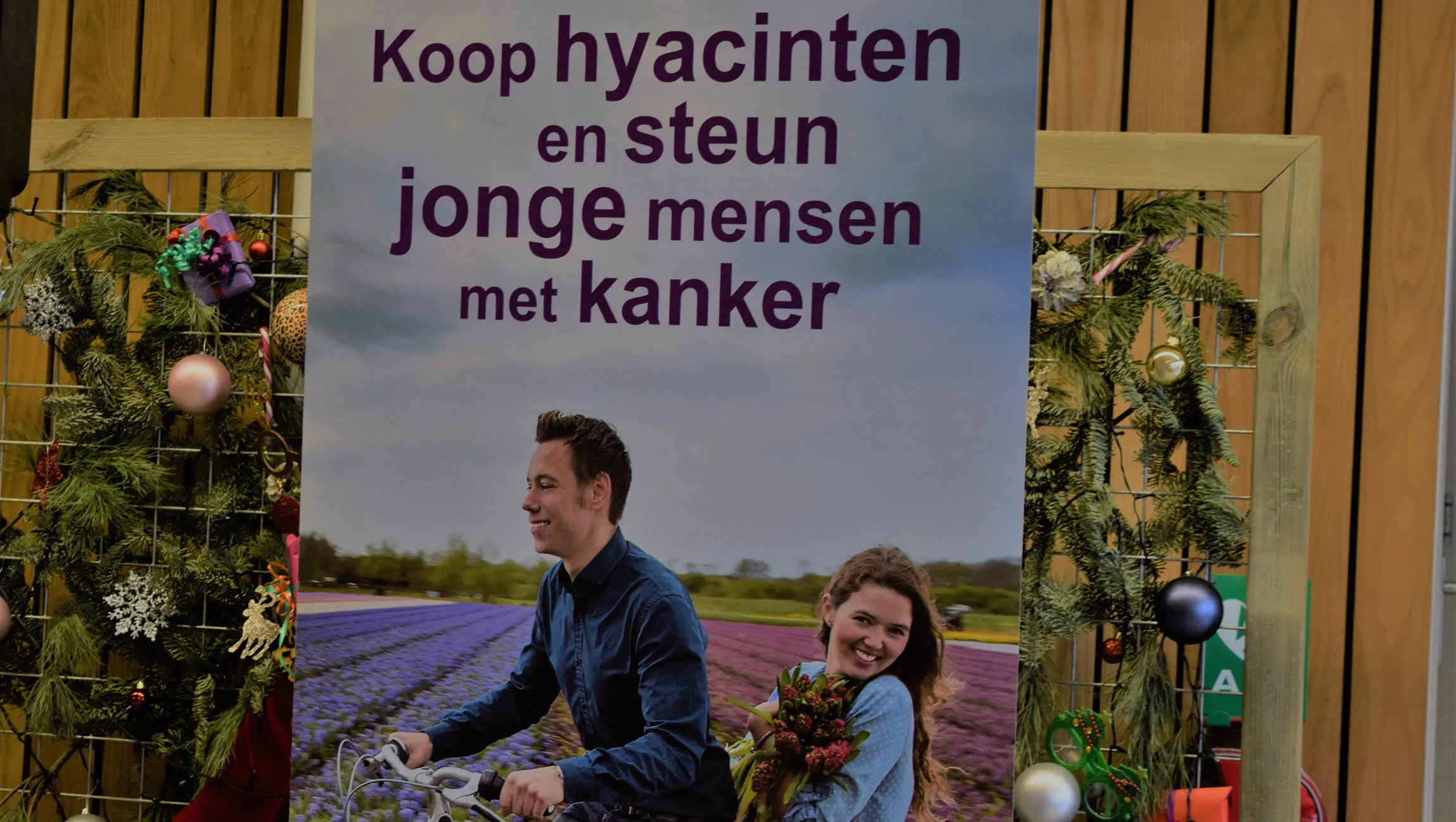 hyacintenverkoop voor aya tamara van de krol