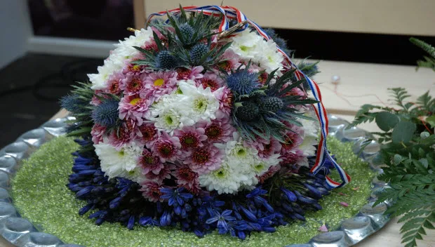 iolewyf76apq97sfn7i6v1czz skills0