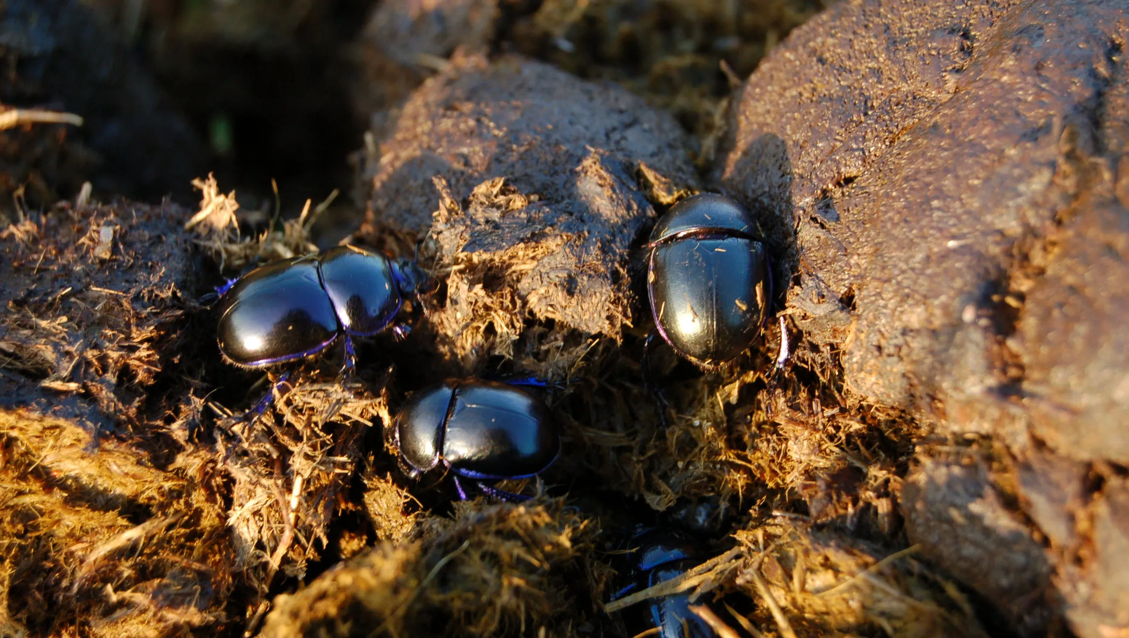 ivn familiewandeling karin otermann