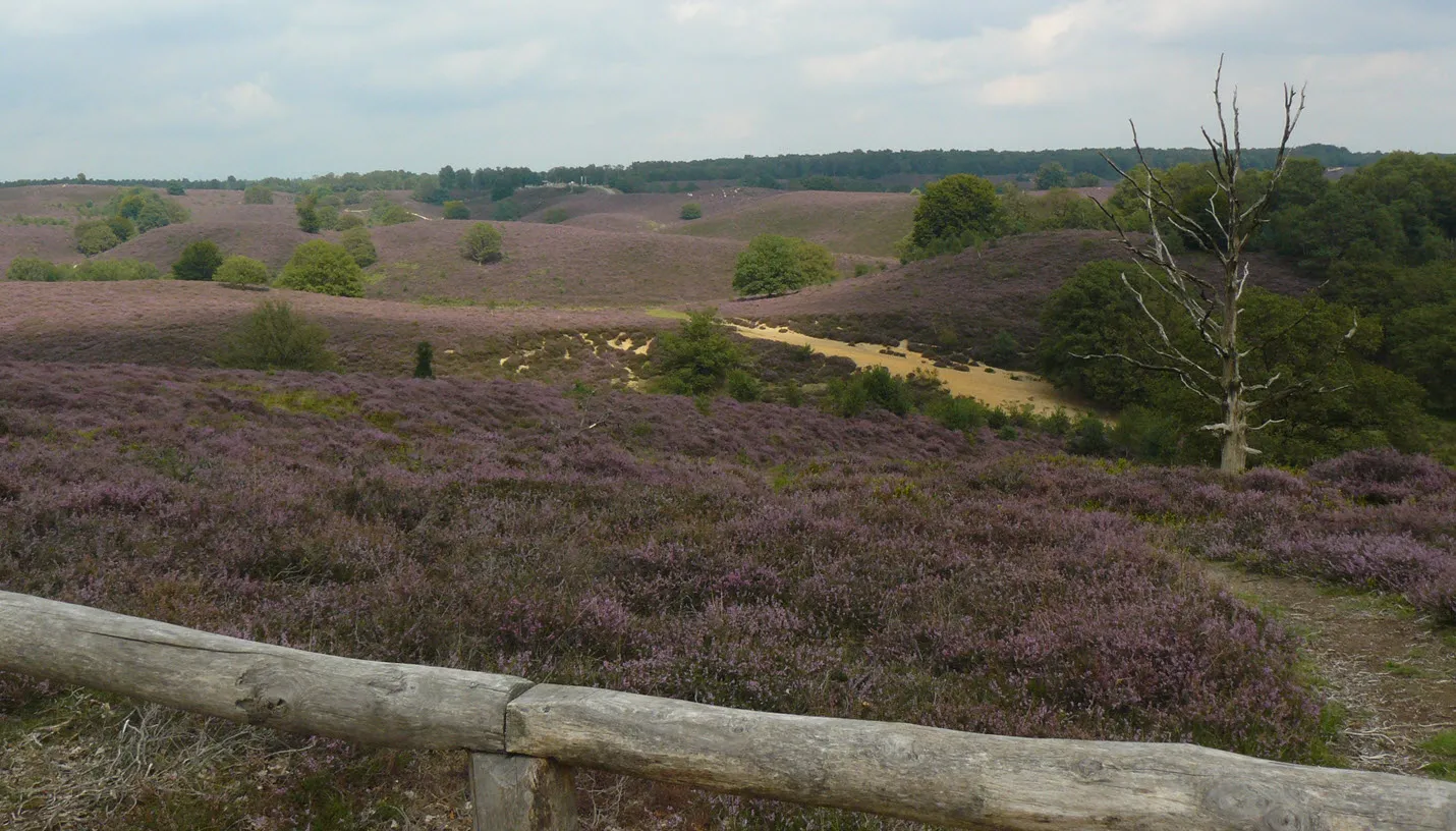ivnov golvend landschap