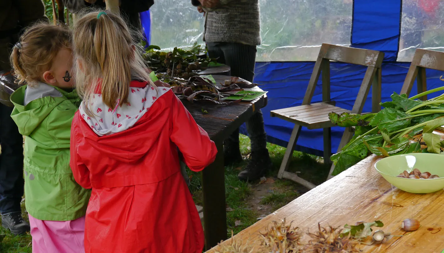 ivnov herfst in de ivn tuin