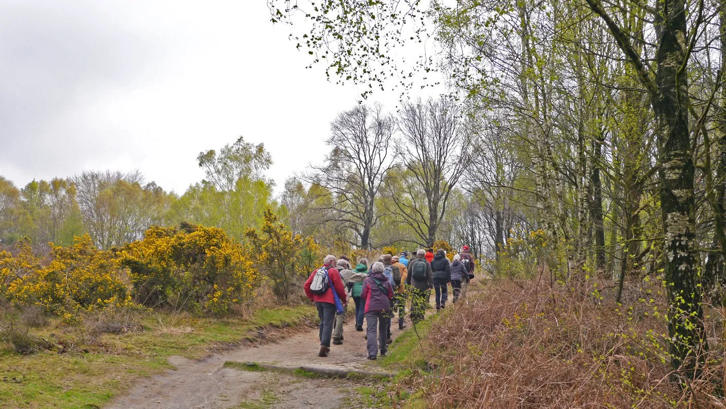 ivnov zwerven door bos en hei