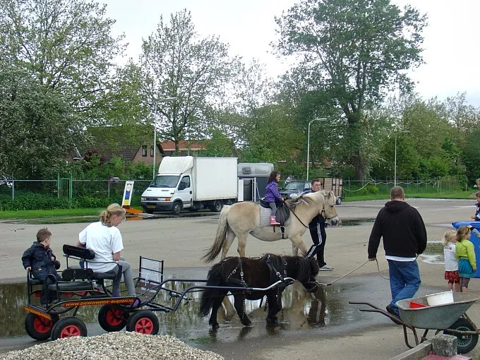 iwz3esuad2te40exh66tkbrpx 141658