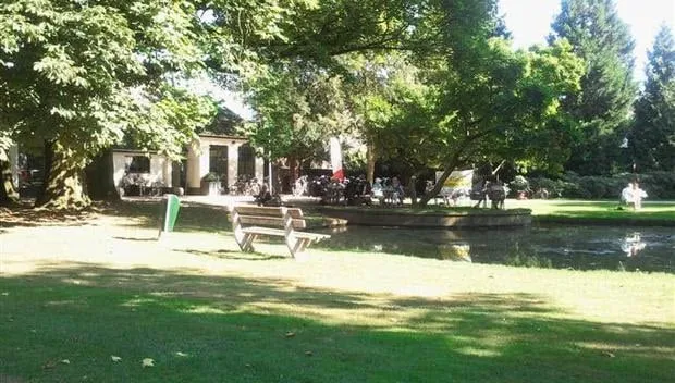 j69mtk77a3yhgn3z351r27673 oranjeriedieren