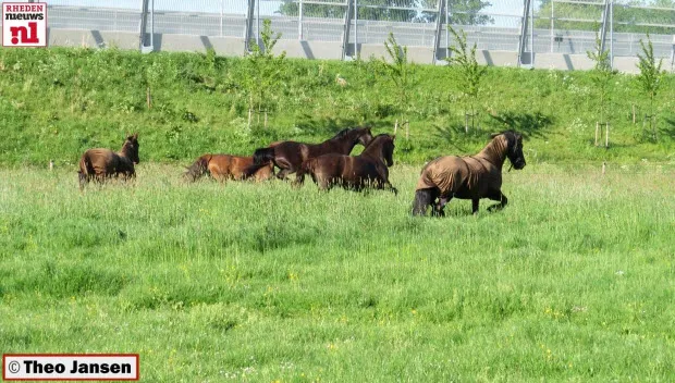 j7gv43w9esgivotlszlgm1tfy geeerfdenweide1