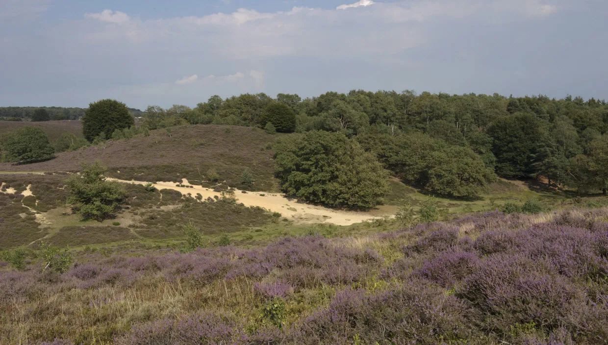 j7vuxdf4t0x05guvq41e9nlol stevige wnadeling herikhuizerveldgerrit rekers 2