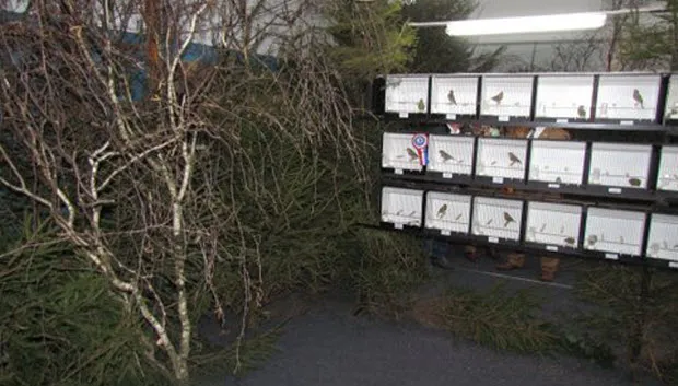 jad899g4vildxi2j529c1qjtt img1157