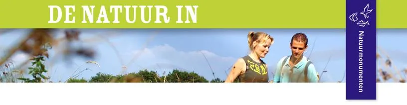 jd6o37vb2eeqrhxihr4bez42h 169295