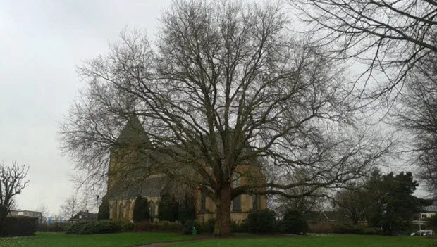 jj4wefgwxb1m5cf7pc0o5czs8 20130128101204