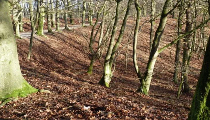 kamerdalseberg