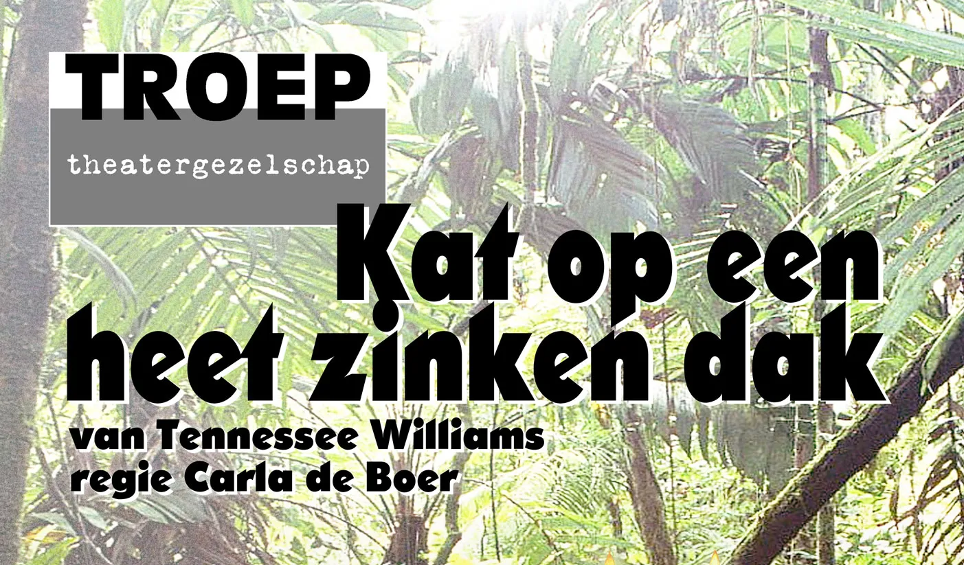 kat op een heet zinken dak1 theatergezelschap troep