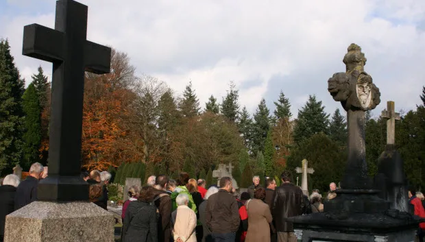 kh72ohe4tgh567ysu8ypxr3mk img0029