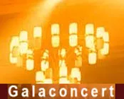 kv5zl1tfou4tb627jxskqgsd7 204934