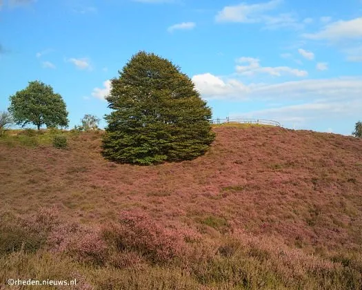 kxjwht1tketrvpf5gsw8i9ylt 121671