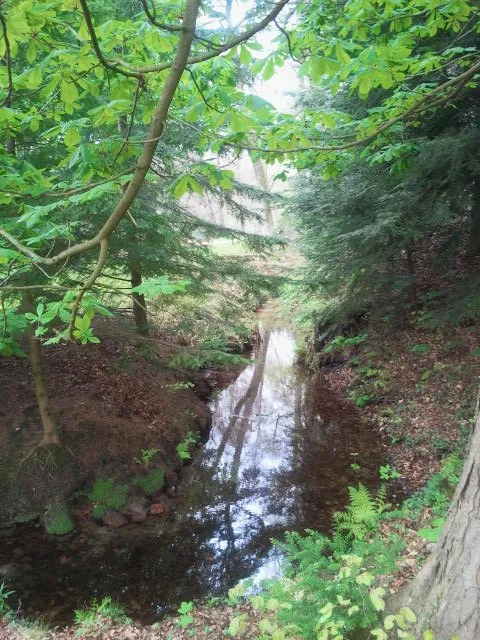 l3n8keq3nbd2m7lri7ln3ehws 139089