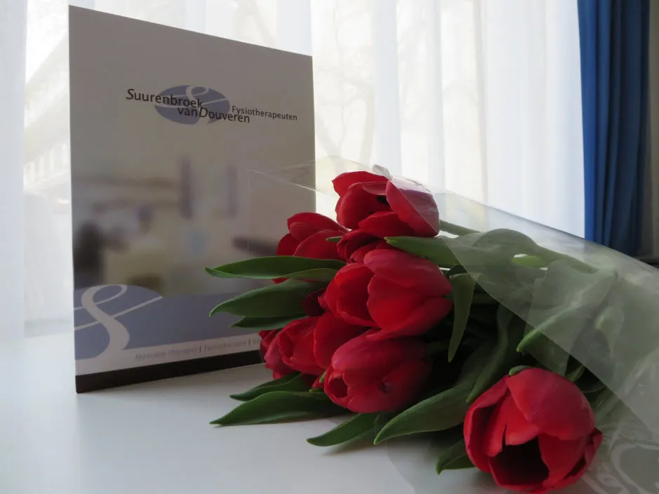 l4a73qmox1k29n7eqsj3ykqo7 tulpen