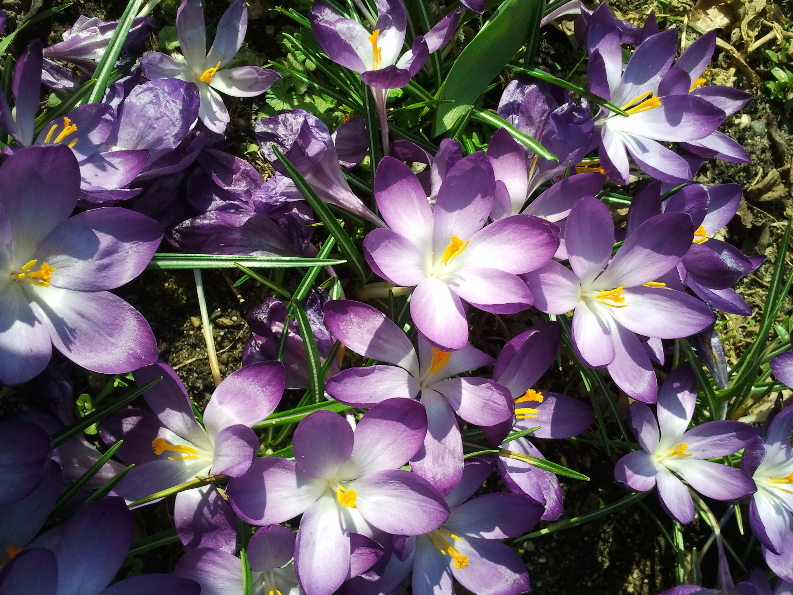 l5i0wswgrdouvxs3vs6oj8voy 2012 03 15 14