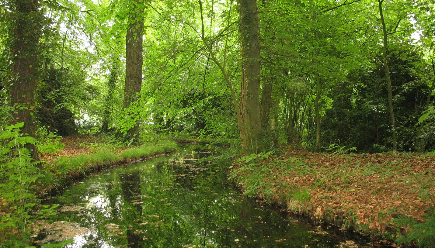 landgoed larenstein vijver