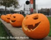 lruk570o1tn5m8s4wczbzb4hd 94579