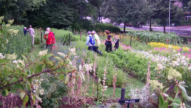 luiznmjj6crg16uoj15lq9vl4 kweekland