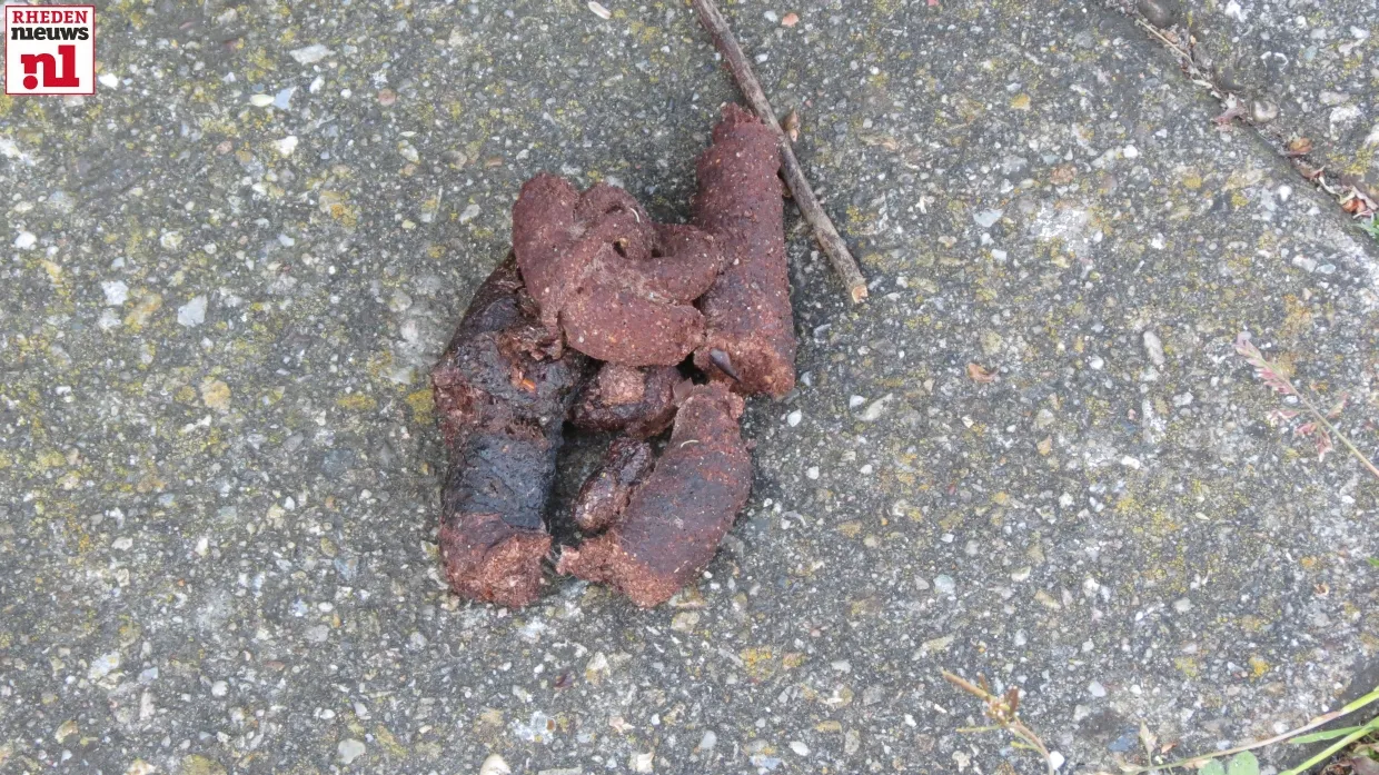 lydvvxhde92tu5osvqofzbein diversen 008