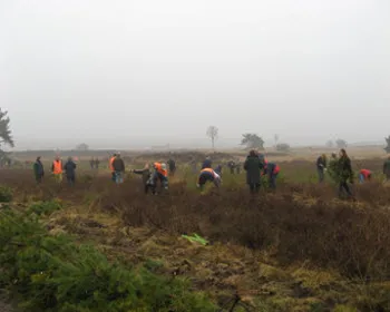 lyvvf62jk3he5cvluypozs3tb 206717