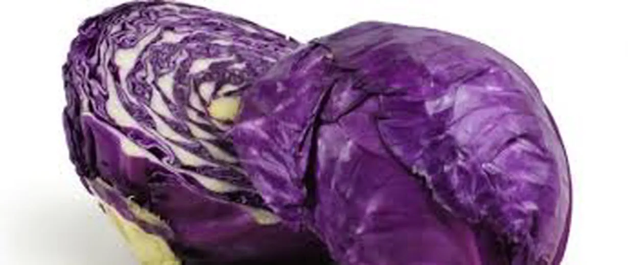 m5tpx1bxmitr5u17nsquyru06 rode kool