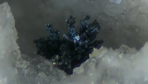 m6912cbve7jp0o364gsnxbcvb ggm1