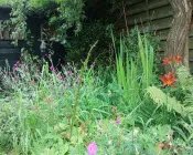 m8hxt4dgw9dqpzi23z3nuxnks 218158