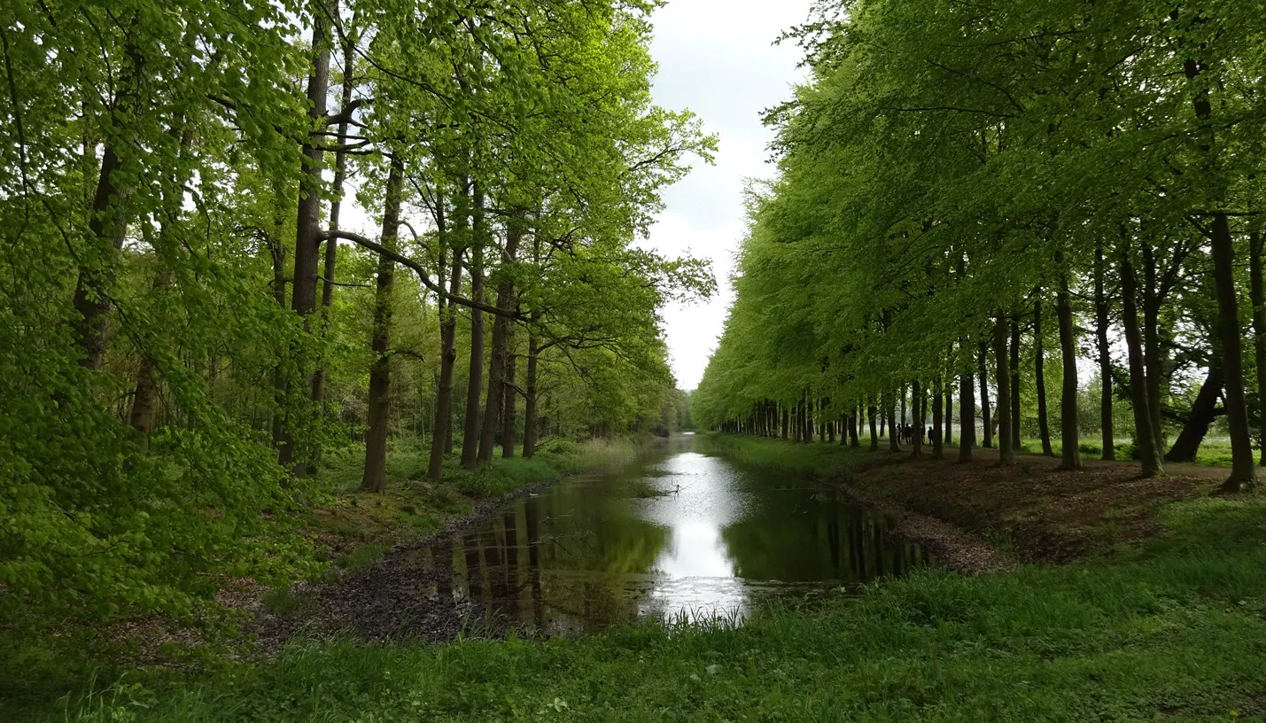 middachten paardengracht corlne van der camp