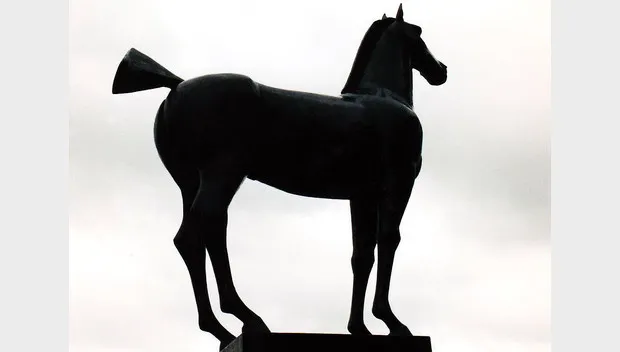 mj2oibpeur512fjc60v0a78e1 paard