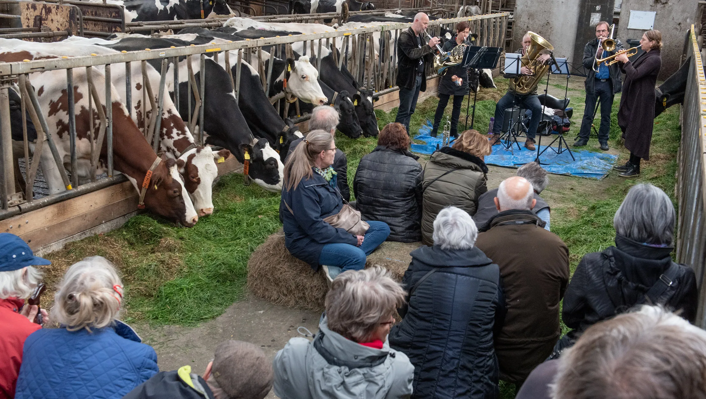 muziek aan huis 2019 1 marc pluim