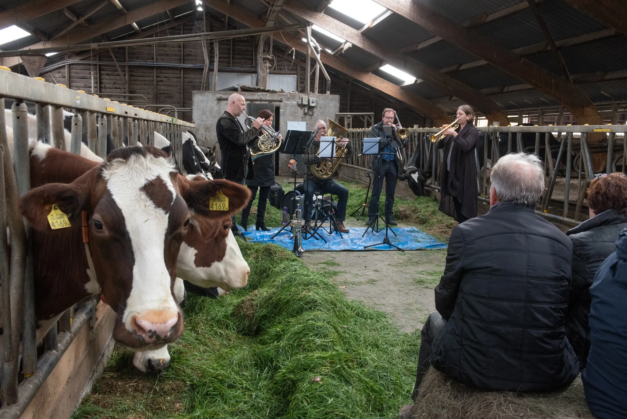 muziek aan huis foto