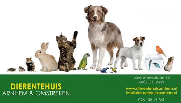 n5v80q6y8qxzfck59hmh5ldzm dierentehuis