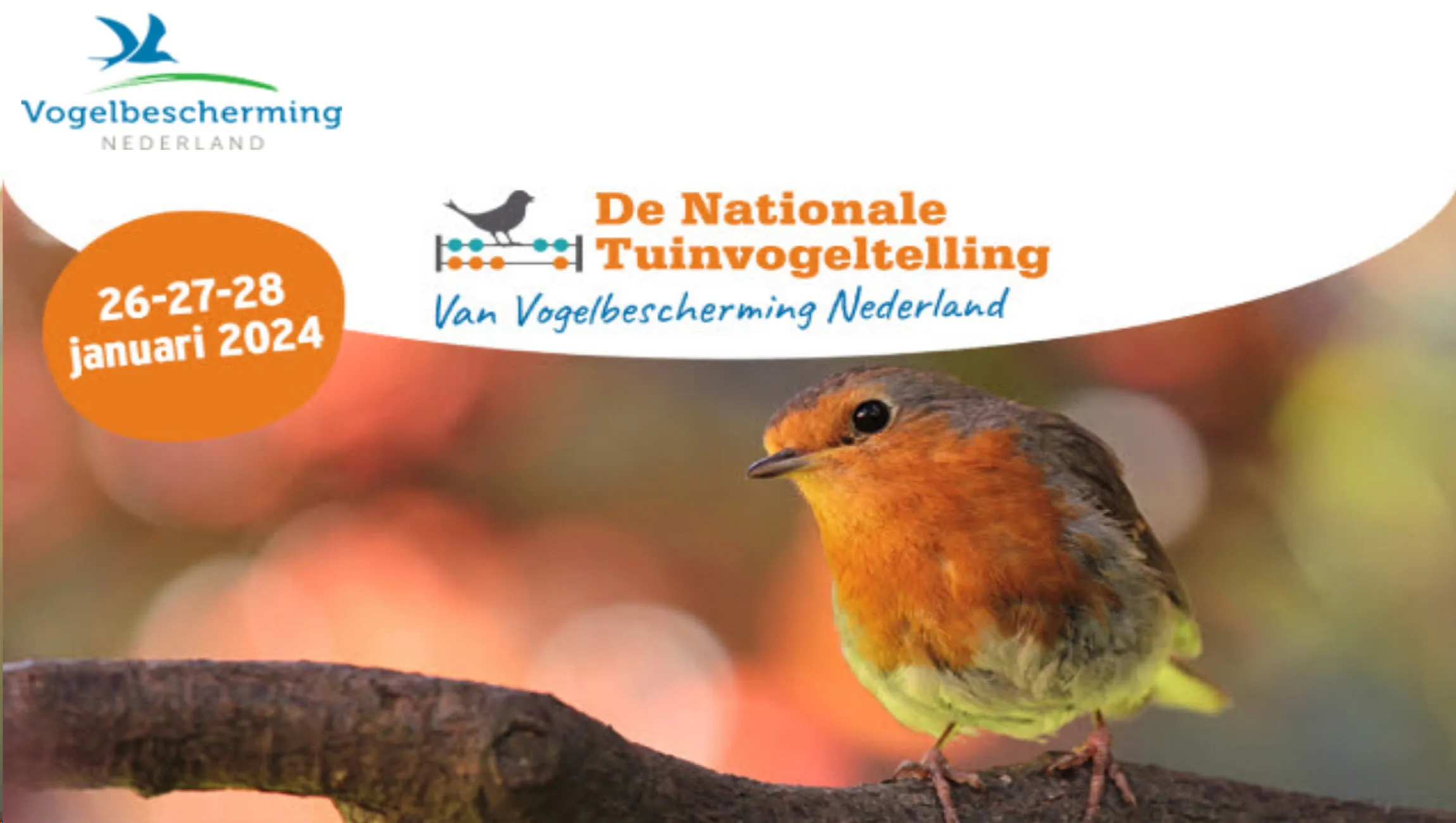 nationale tuinvogeltelling 1