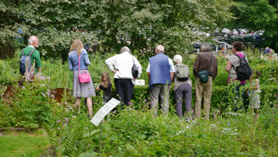 natuur in de buurt ivn oost veluwezoom