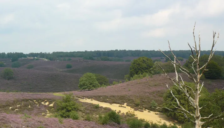 natuurcursus landschap