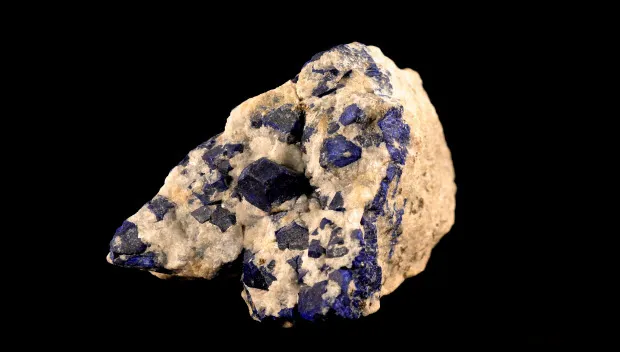 ncxaicx3uagv1f2h55tgp3zdz fossielen1