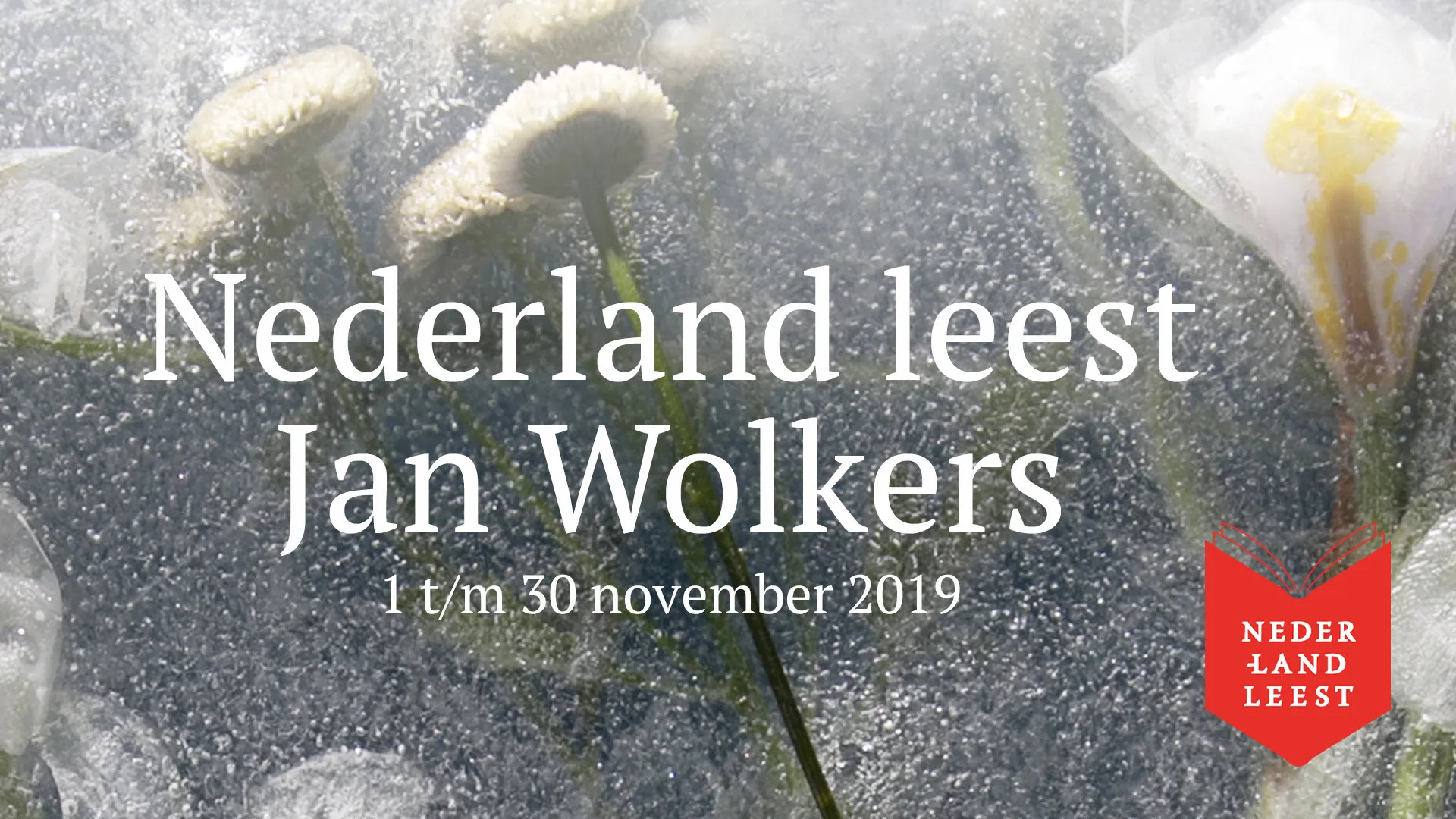nederland leest