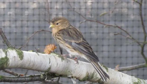 nh8ka545v495cwf6qb00gw72x img1177